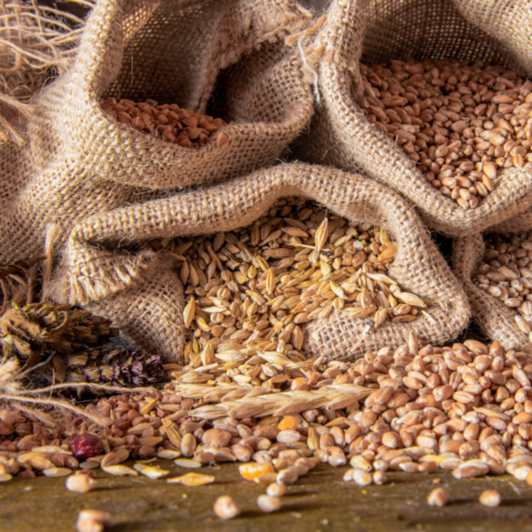 Non-chemical treatment of foods